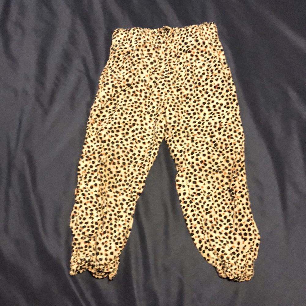 3T leopard print jogger pants